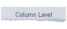 Column Level