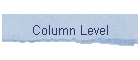 Column Level