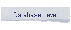 Database Level