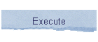 Execute