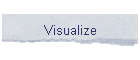 Visualize